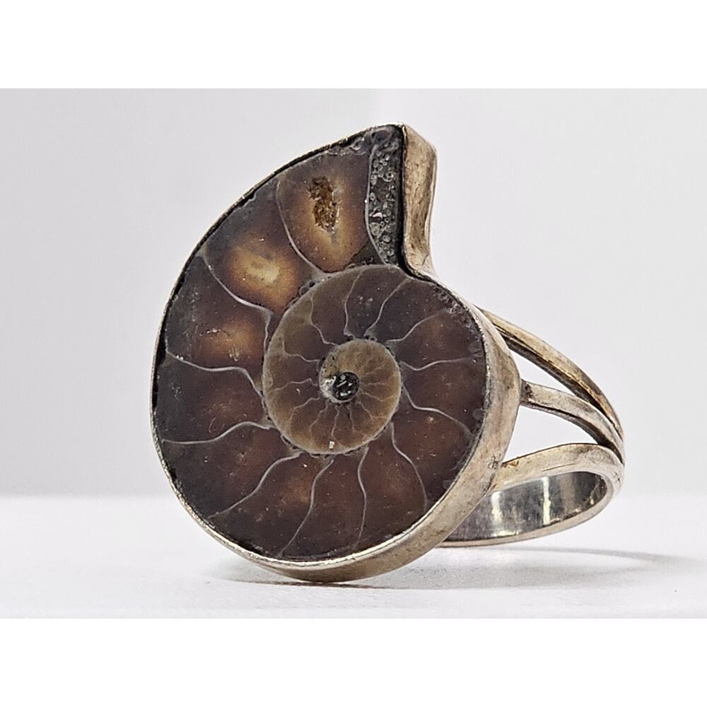 Antique & Vintage Ammonite Fossil Sterling Silver Ring Size 11.25
